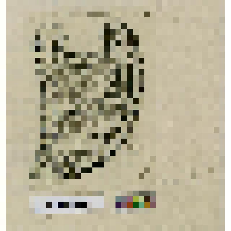 Картуш с изображением палицы - символа герцога де Люксембур