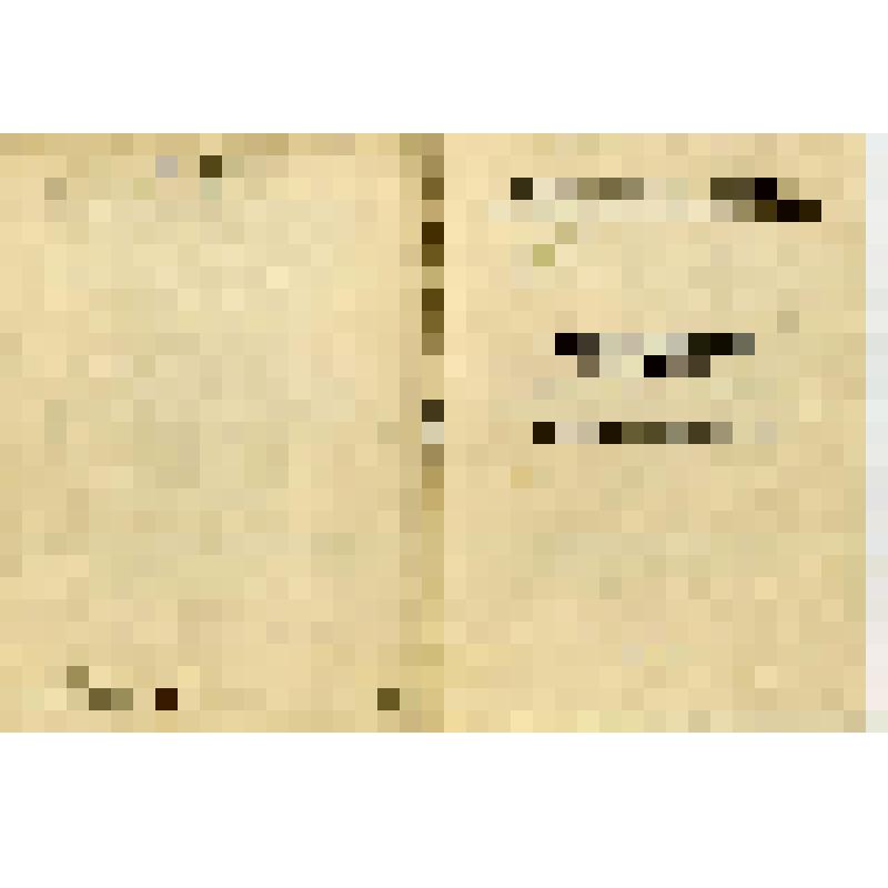 Брошюра. Программа научной конференции, посвященной истории рабочего класса Урала