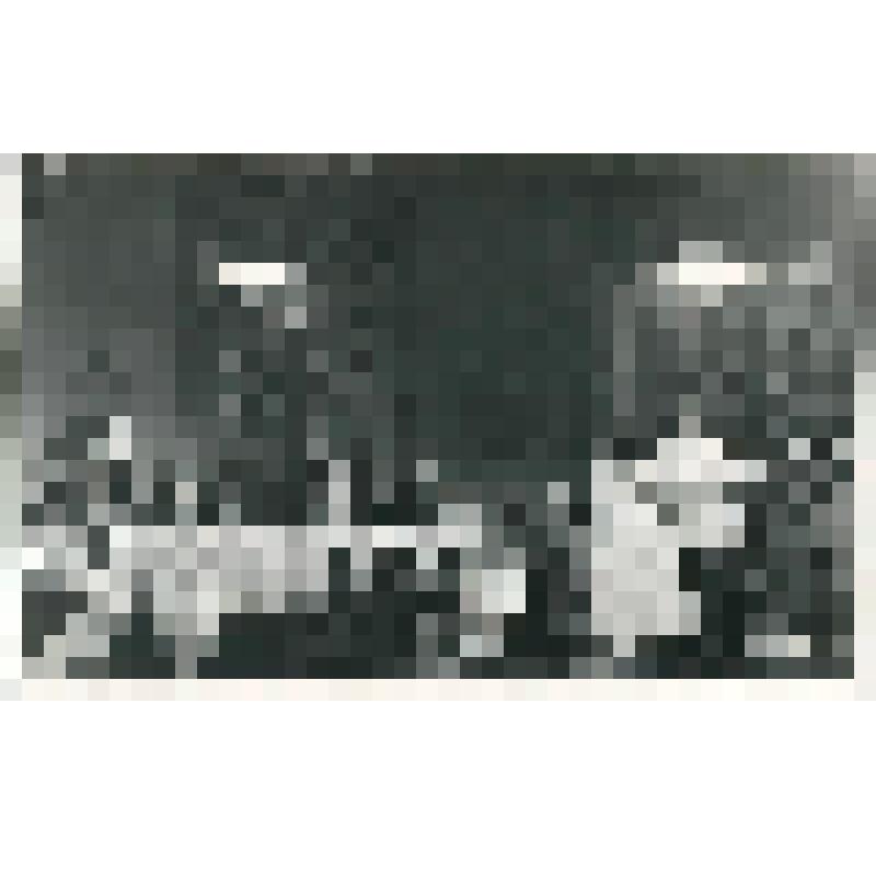 Фотография. Сцена из спектакля, I действ. "Село Степанчиково и его обитатели" (пост. - Л.А. Волкова, худ. - А.Л. Васильев и В.Я. Мазенко.). Москва, Государственный академический Малый театр СССР