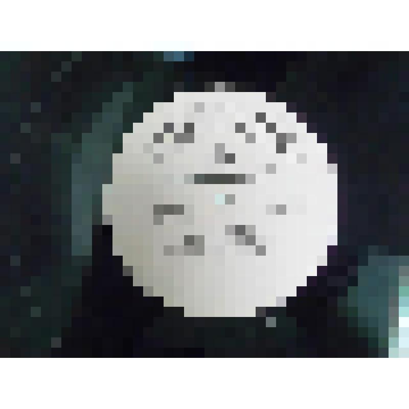 Пластинка виниловая Произношение на сцене. И. Козлянинова. Апрелевский ордена Ленина завод. Всесоюзная фирма грампластинок "Мелодия"