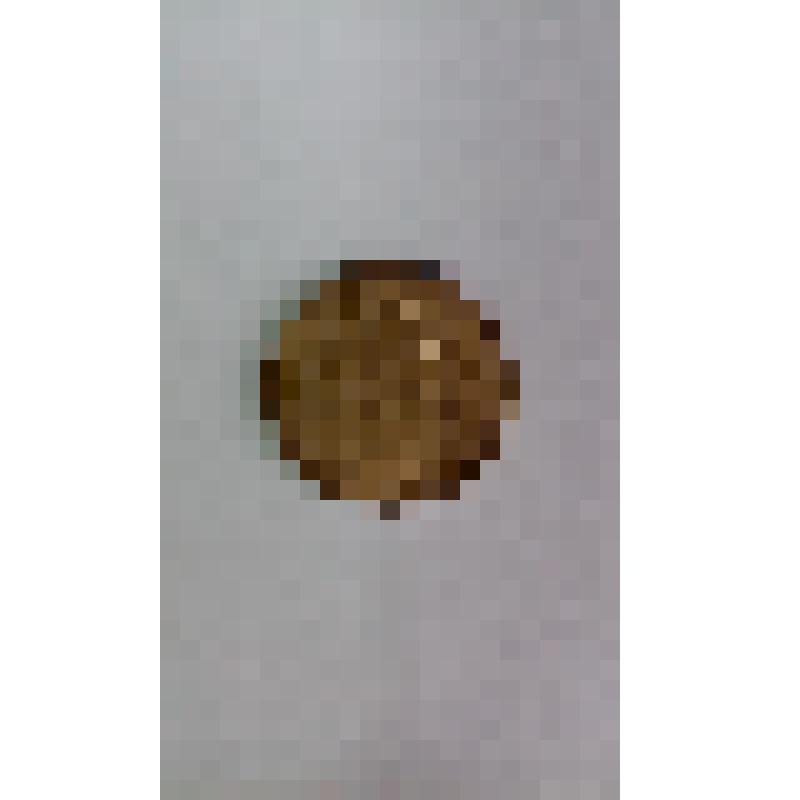 Монета 1 рубль, 1992 год