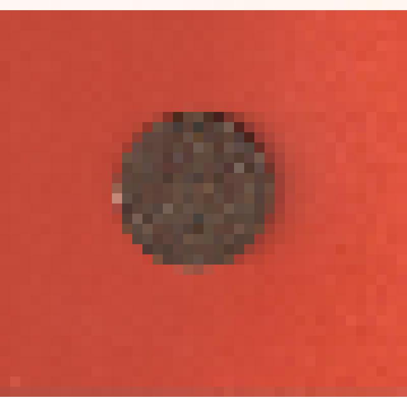 Монета СССР 2 копейки 1924 года