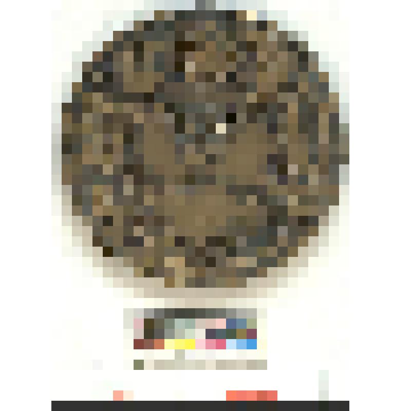 СССР. Медаль. 50 летие Казахстана. 1970 г