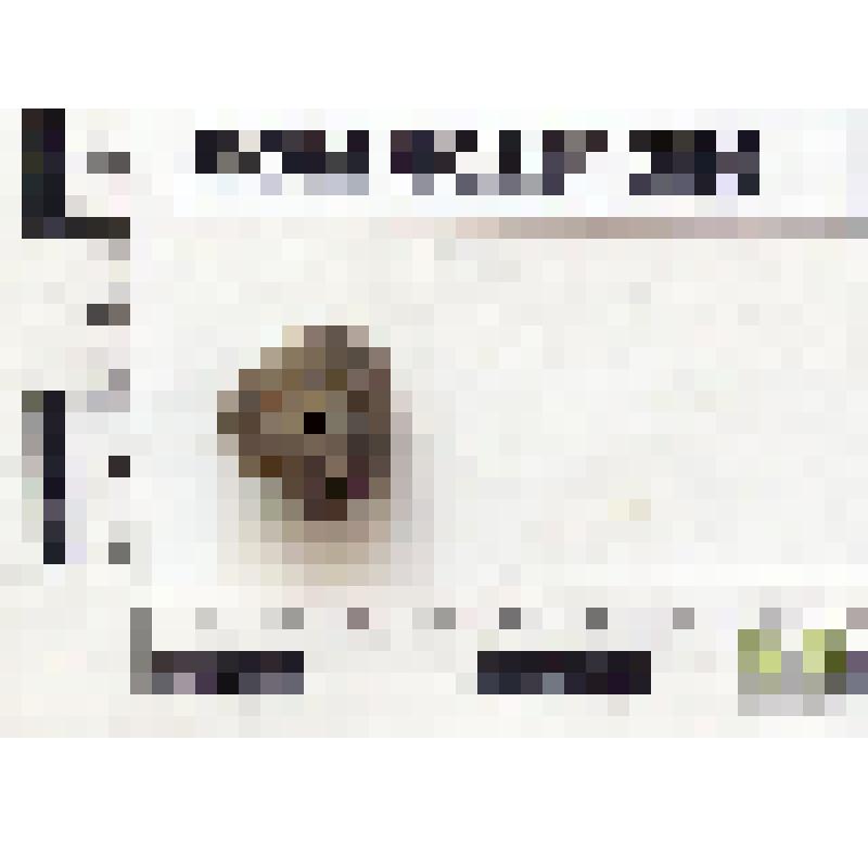 Буса