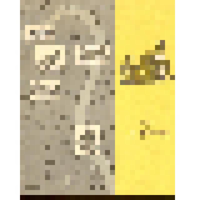 Буклет. Музей А.В.Суворова