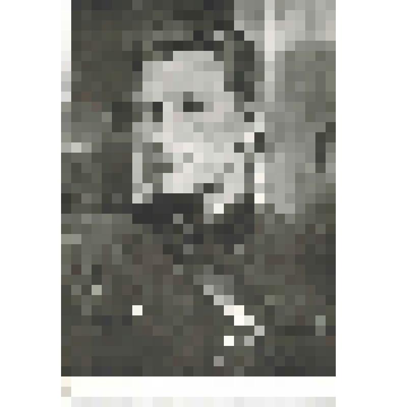 Фотокопия. Цаплин Павел Александрович, старший лейтенант, танкист