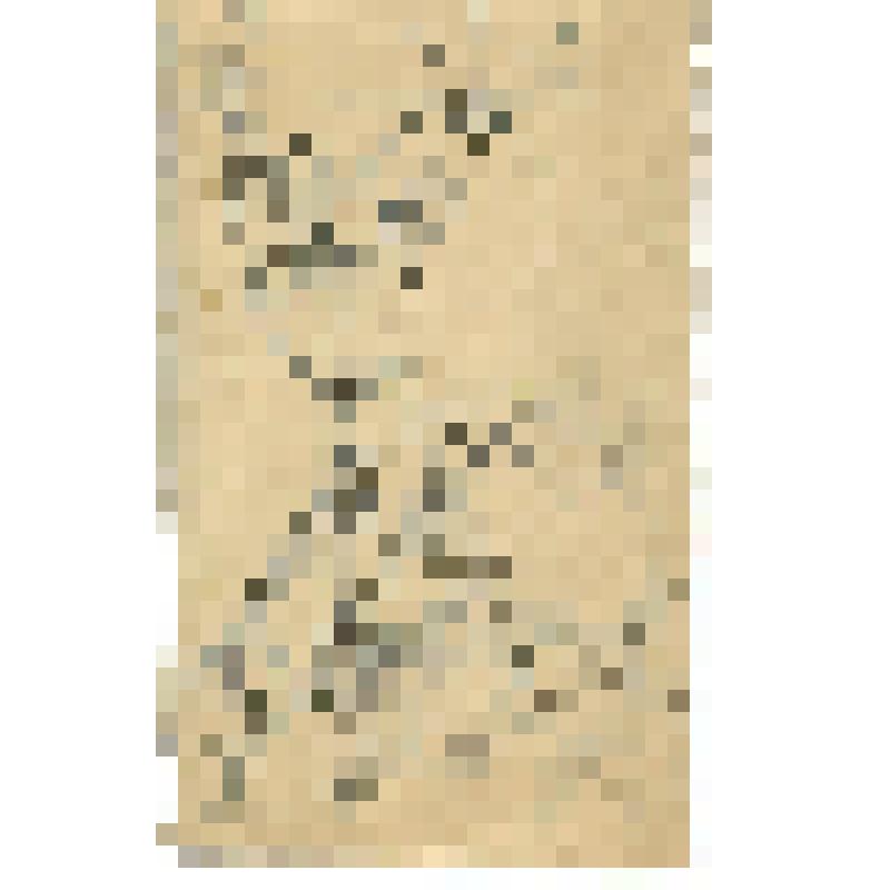 Рисунок сатирический. Художник за работой