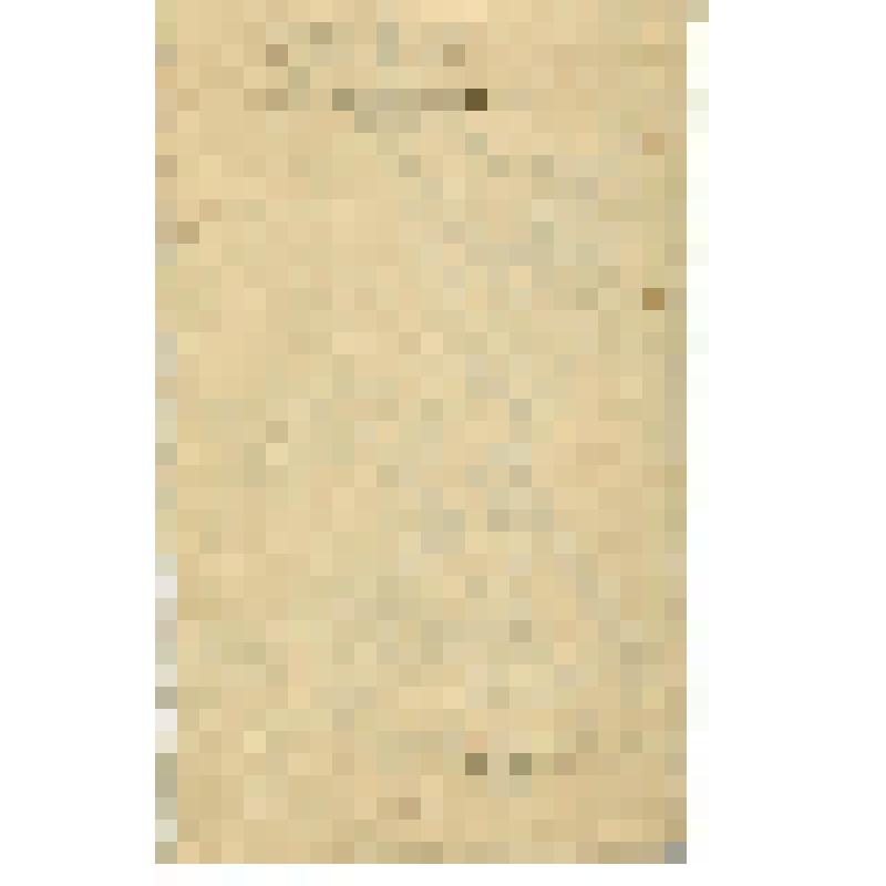 Рисунок сатирический. Художник за работой