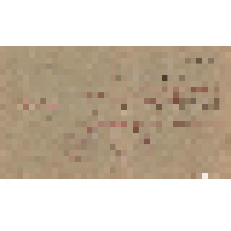 Мандат N 153 делегата 7-го Губернск. съезда Советов Екатеринославщины т. Дорошина Х.Г