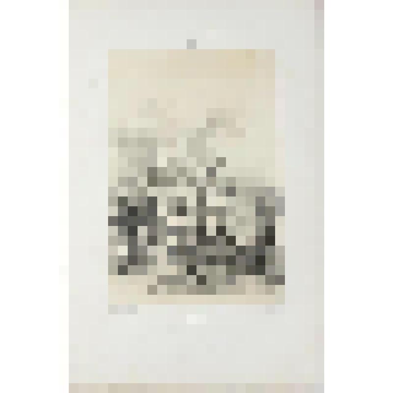 Литография. "Гамбург. Здания XV и XVI веков."