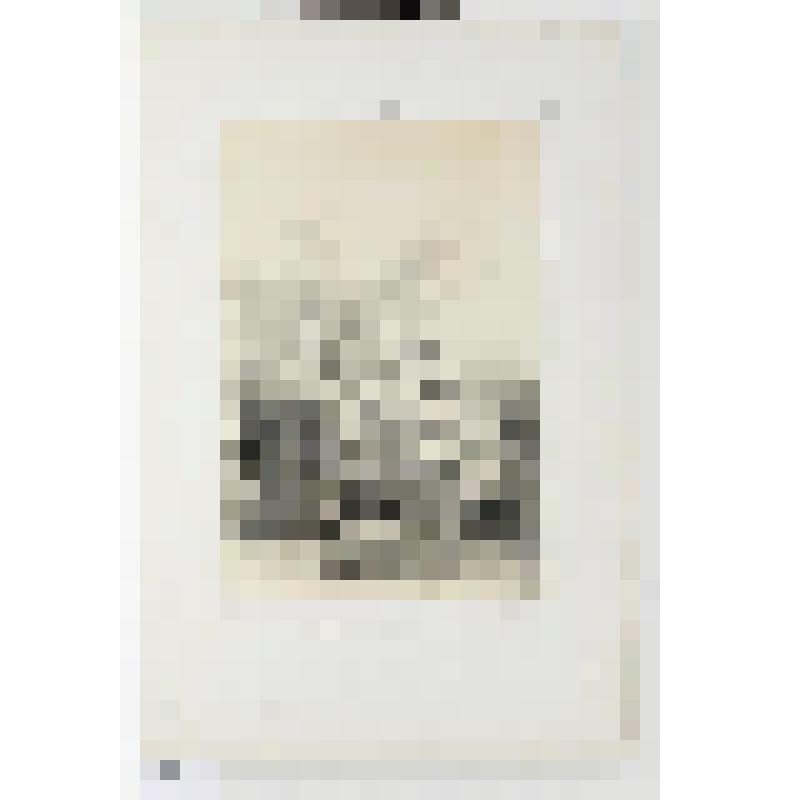 Литография. "Гамбург. Здания XV и XVI веков."