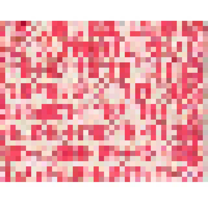 Билет А № 221 Всероссийская книжная лотерея. Выпуск двадцать третий, 1972 г. Комитет по печати при Совете Министров РСФСР