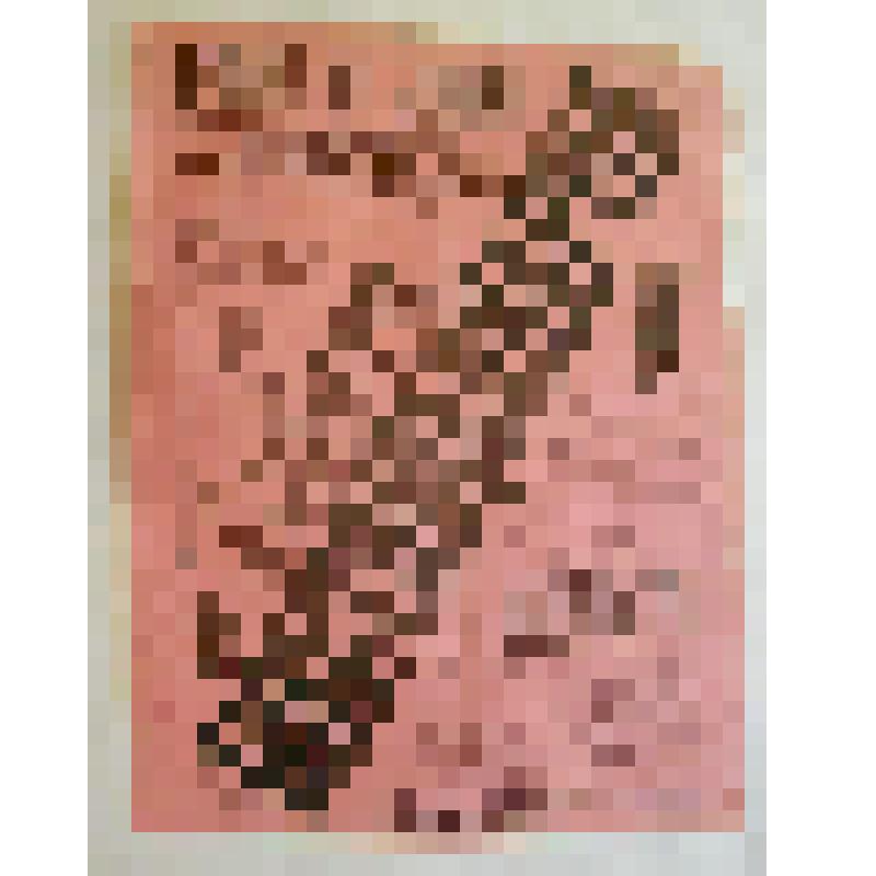 Афиша с исполнителями. "Блестящая партия". Украина, Екатерининский театр; Антреприза, Русские драматические артисты