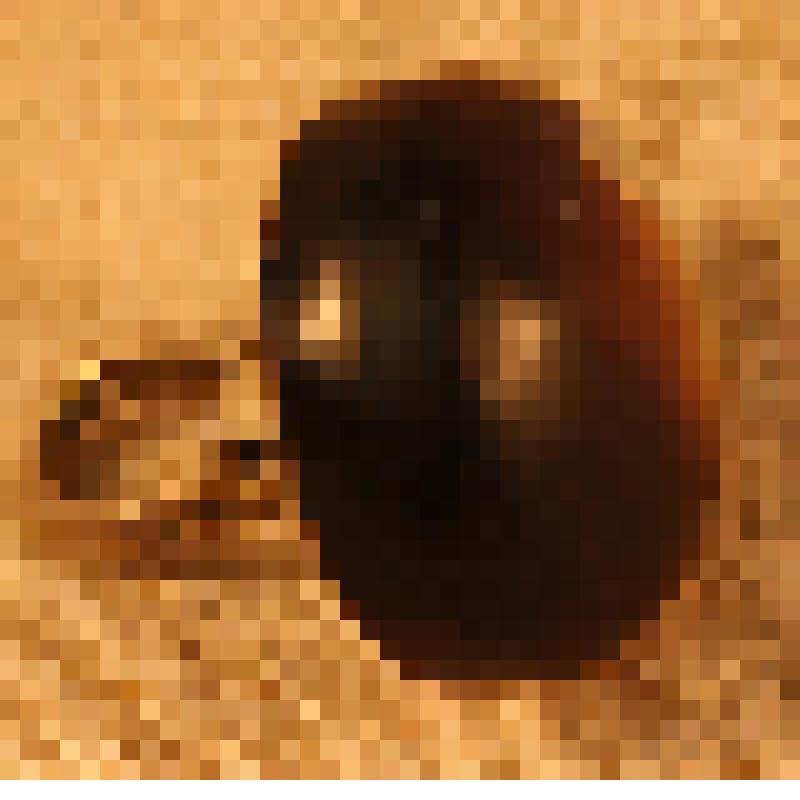 Запонка для сорочки мужской Космолинского Михаила Васильевича, финансового инспектора. От пары, из коллекции материалов о семье Космолинской Анны Федоровны (1898-2002), старейшей жительниы г. Саратова