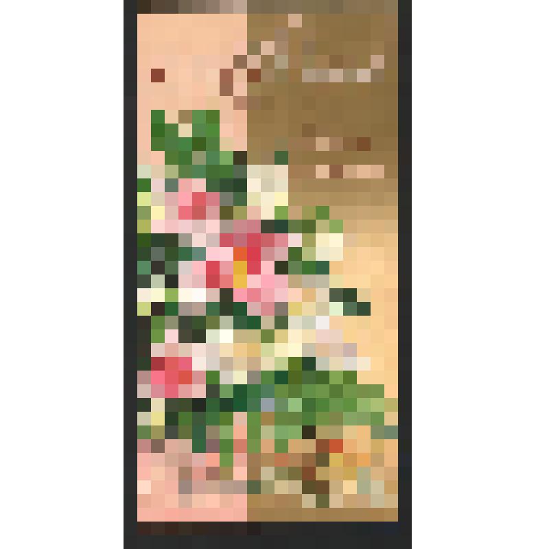 Поздравление Славы и Вали Захаровых Богомоловой З.А. с Днём рождения