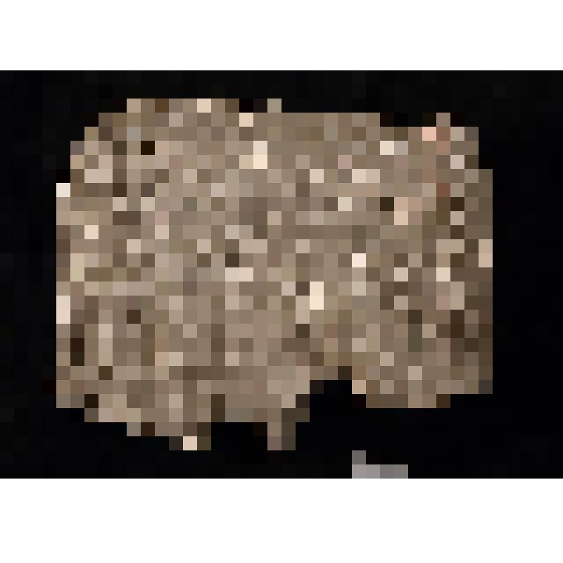 Фрагмент стелы из Дейр эль-Медина с текстом