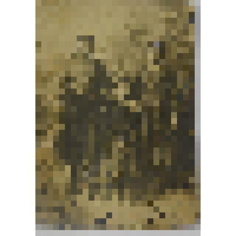 Фотография. Молодые женщины и девушка, сидящая на стуле