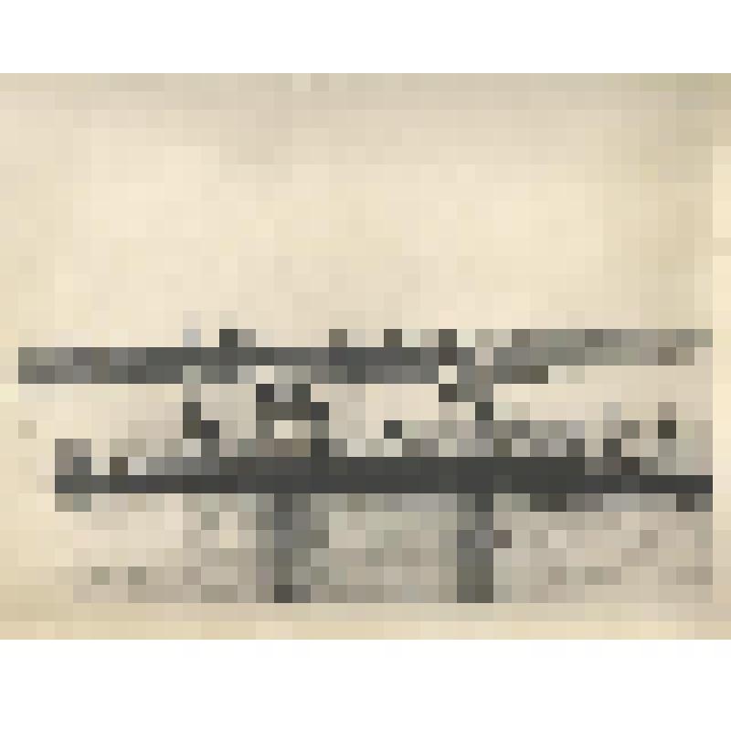 Фотография чёрно-белая. Пионерский лагерь "Мечта". Купание