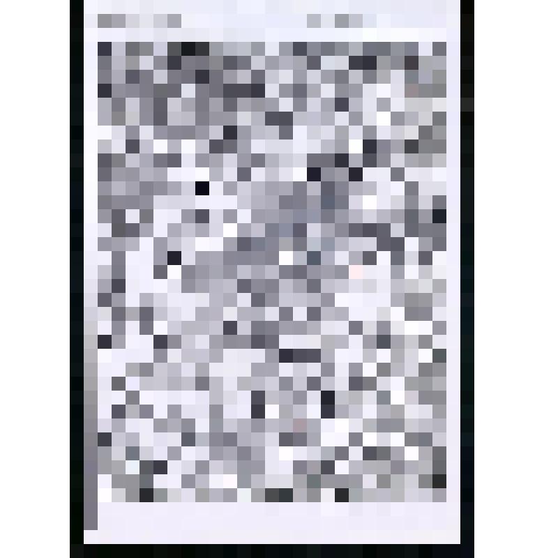 Лист репродукционный. Ключ к Плану I (Лист 4) Атласа Суворова / «Atlas Suisse» / Лист 15 (вырезка). (№8)
