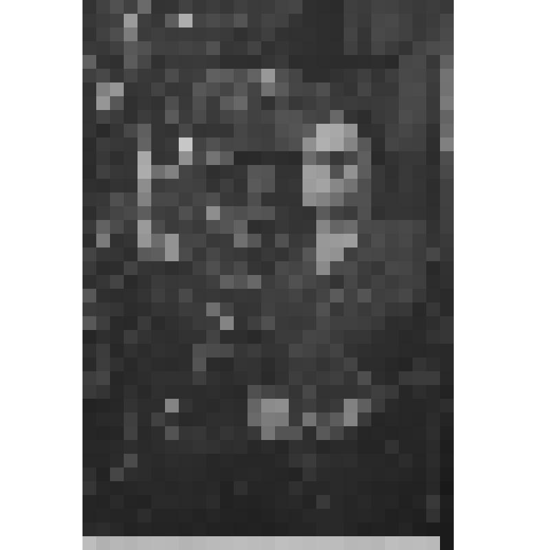 Фото. Татьяничева Л.К. у новогодней елки