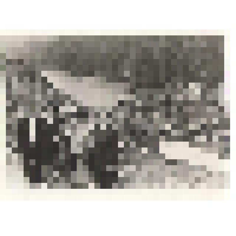 Фотографии. Фото. Шушеначев И.В. с монгольской делегацией профсоюзов на фоне строительства Саяно-Шушенской ГЭС