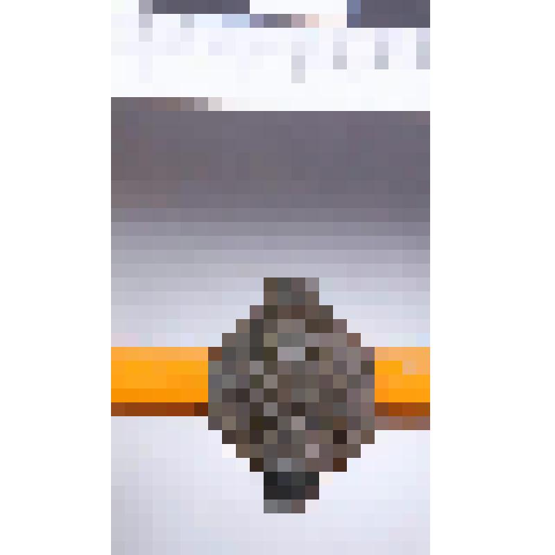 Перстень. Фрагмент