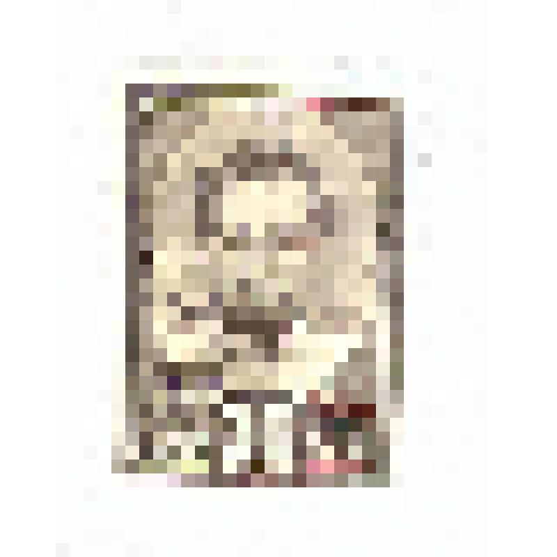 Марка почтовая из серии "Герои Гражданской войны". "Н. Щорс"