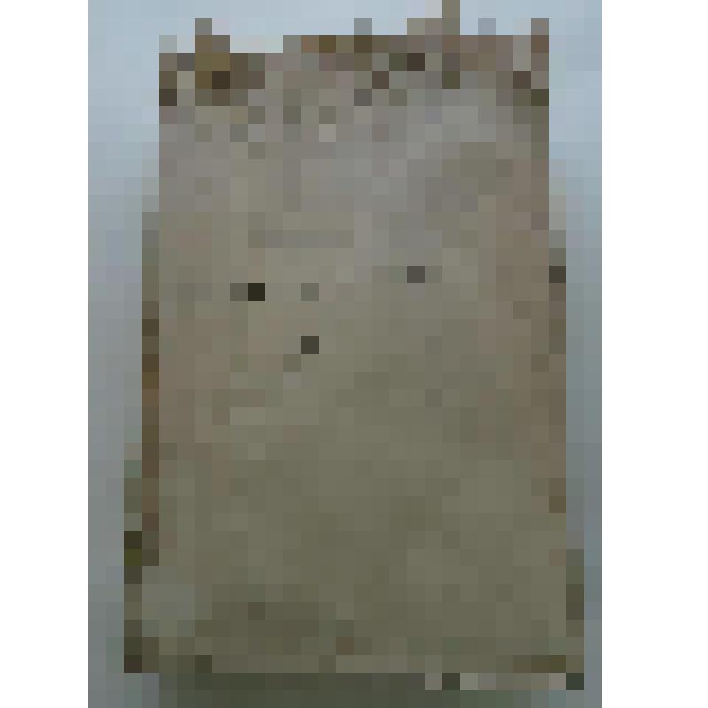 печатная книга. Kritisch-literärische Übersicht der Reisenden in Russland bis 1700, deren Berichte bekannt sind