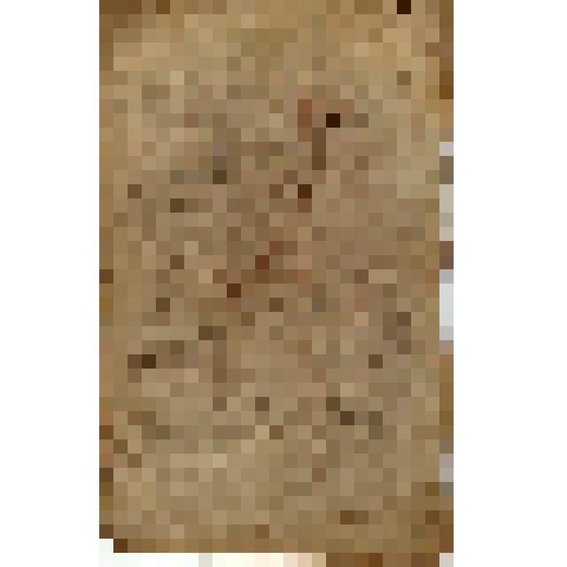 Эскиз для иконы. Спас