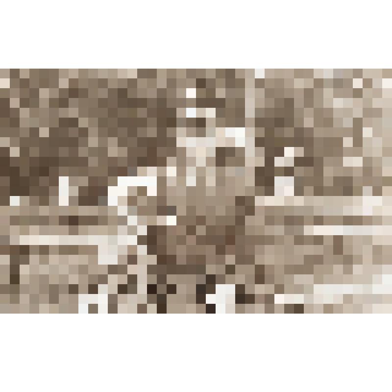 Фотография черно-белая Бурчука Геннадия Федоровича - генерал-майора с дочерью Оксаной