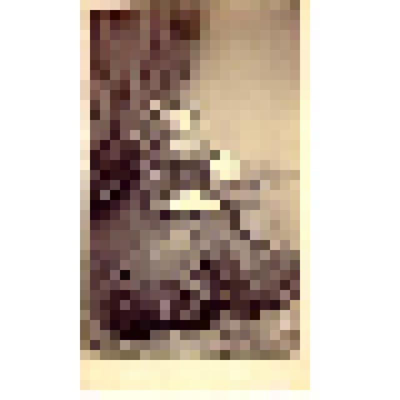 Фотография. Женщина лет 45