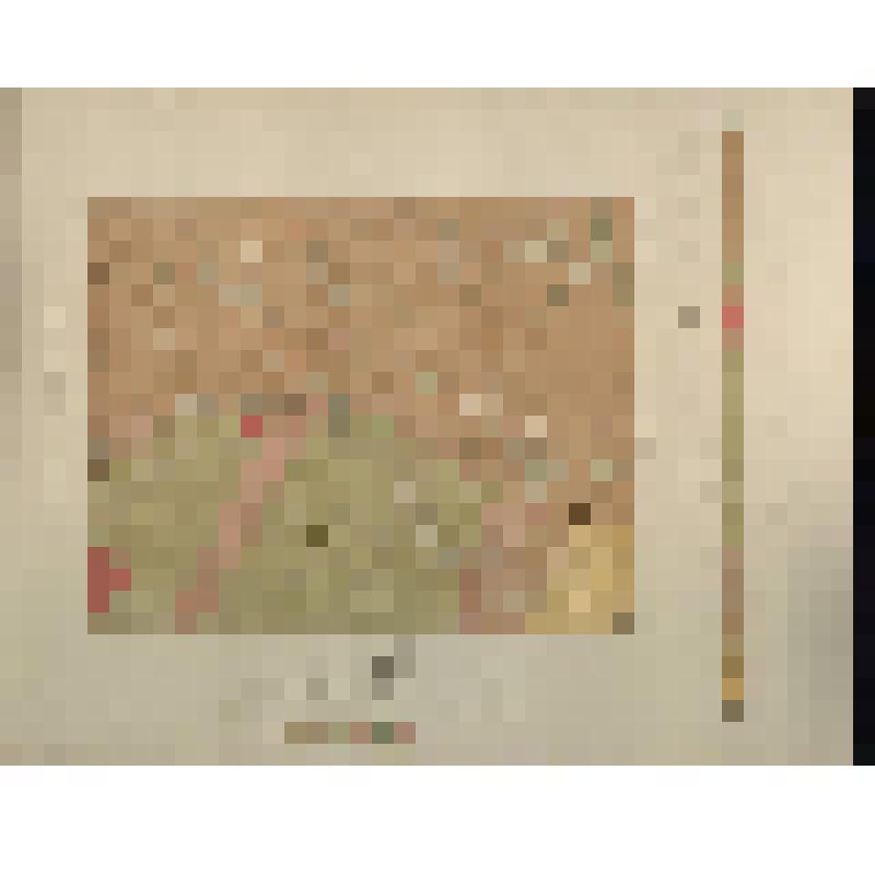 Геологическая карта Енисейского золотоносного района. Карт. зав. А. Ильина. 1903 г. Спб. М. 1:84000. 1 из 10 экз., 1 из 10 пр