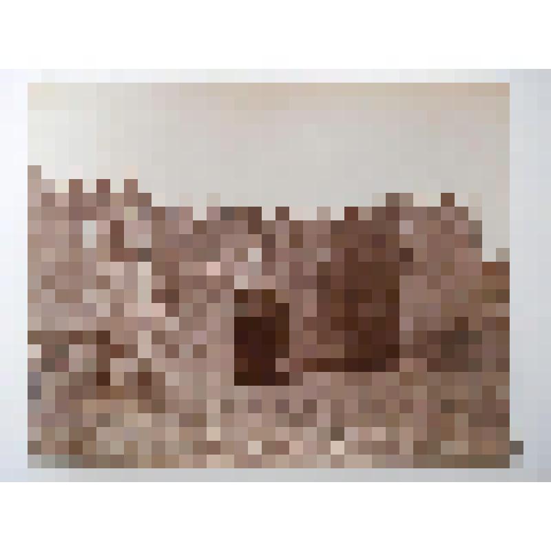 Дамасские ворота. 1542 г. Израиль, г. Иерусалим. Дамасские ворота. 1542 г. Общ. вид. Ф Бонфис 138 (подпись на негативе)