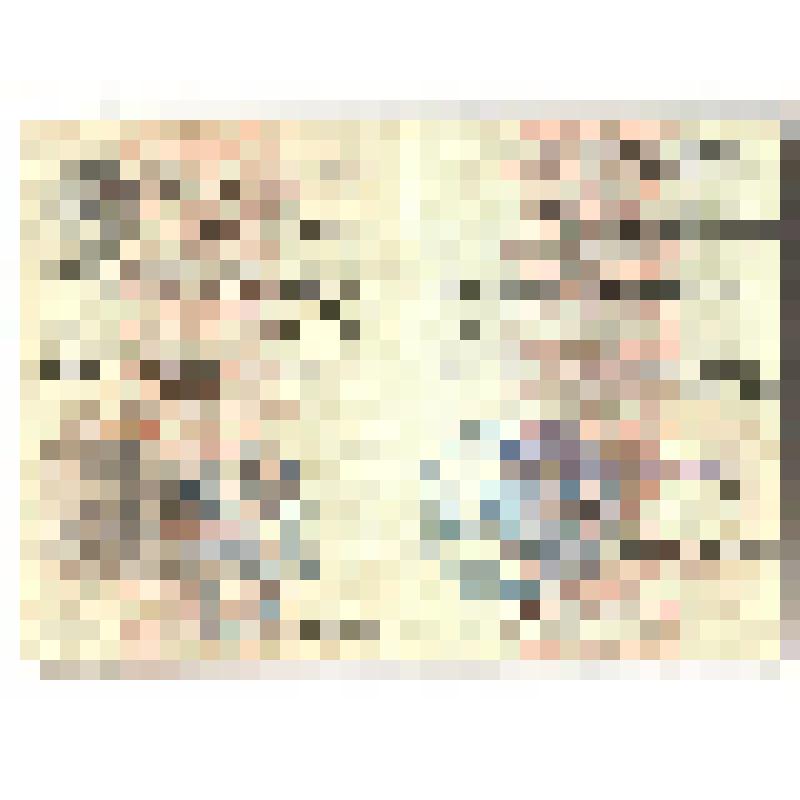 Паспорт III-ШЯ №568836 Бурнашевой А.И. , с фото. Легойский нгаслег