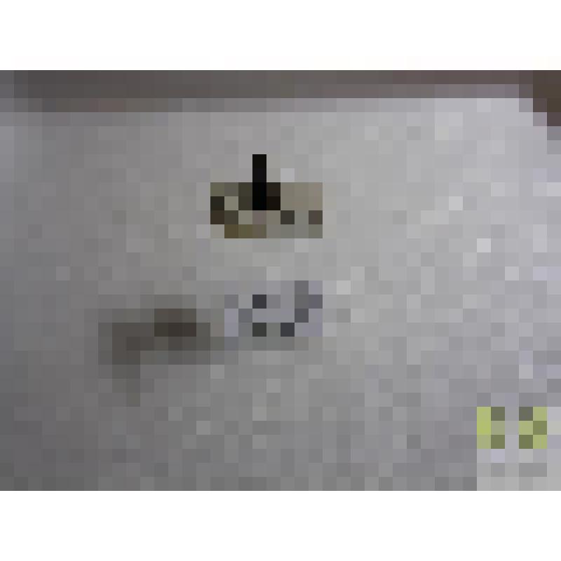 Тускляк знатный  (Amara consularis Duft.)