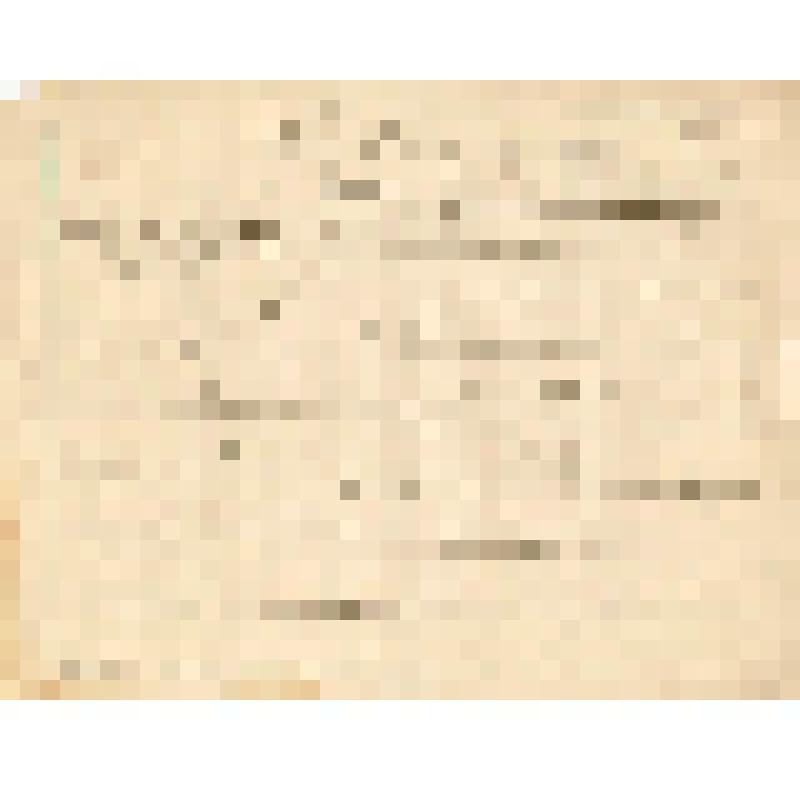 Телеграмма № 149 в г. Чердынь В. Н.Алину от Хомутова из Березников, 19.10.1884 г