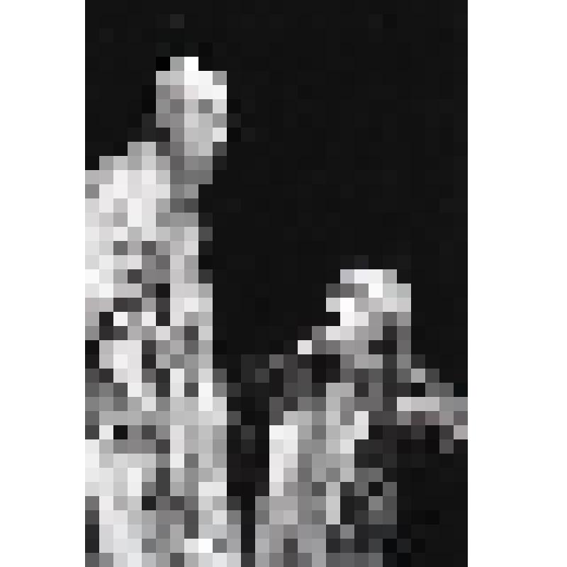 Негатив черно-белый. Борис Годунов - О.Н.Ефремов;  Шуйский - А.Д.Жарков. "Борис Годунов" (1994 г.)