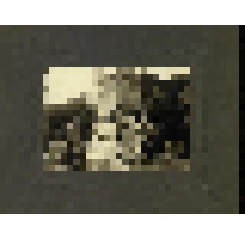 Фотография. Бахрушин А.А. в группе неизвестных лиц. Ялта