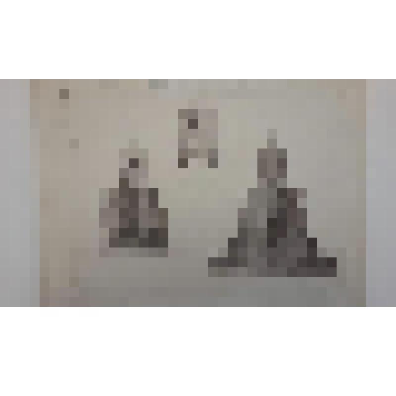 Храм Воскресения Христова ("Спас на Крови"), наб. канала Грибоедова.(Екатериниский), 26. 1883-1907 гг. г. Санкт-Петербург (Ленинград). Храм Воскресения Христова ("Спас на Крови"). Парланд Альфред Александрович. Второй конкурс проекта храма. Проект А. Парл