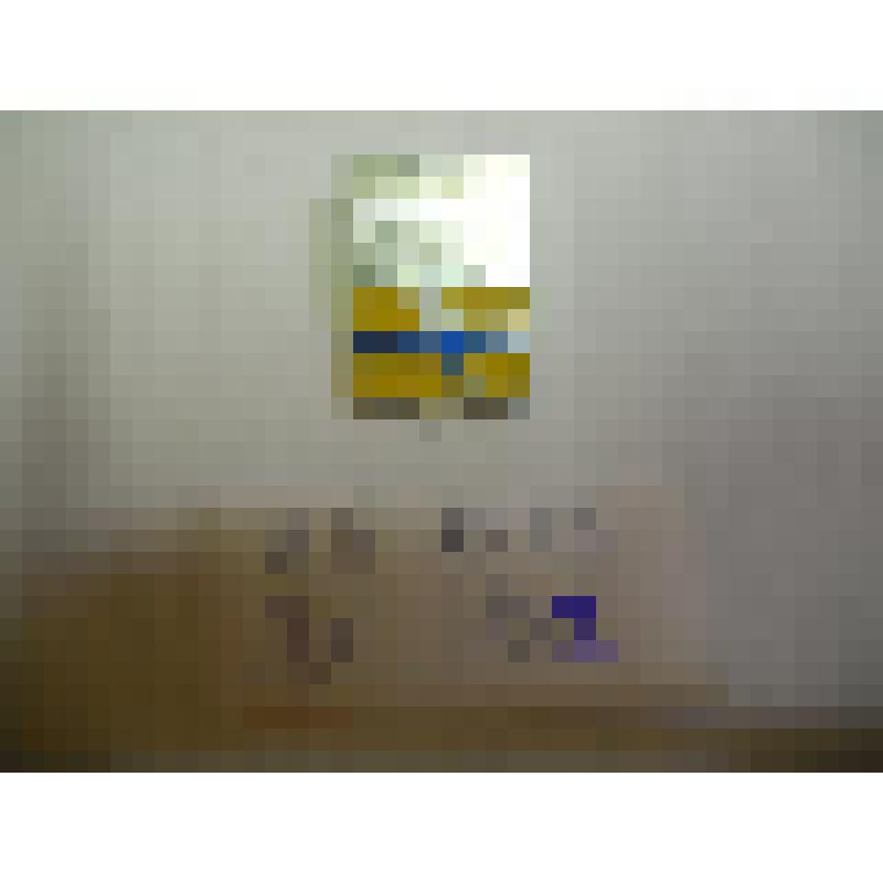 Сувенирный значок 