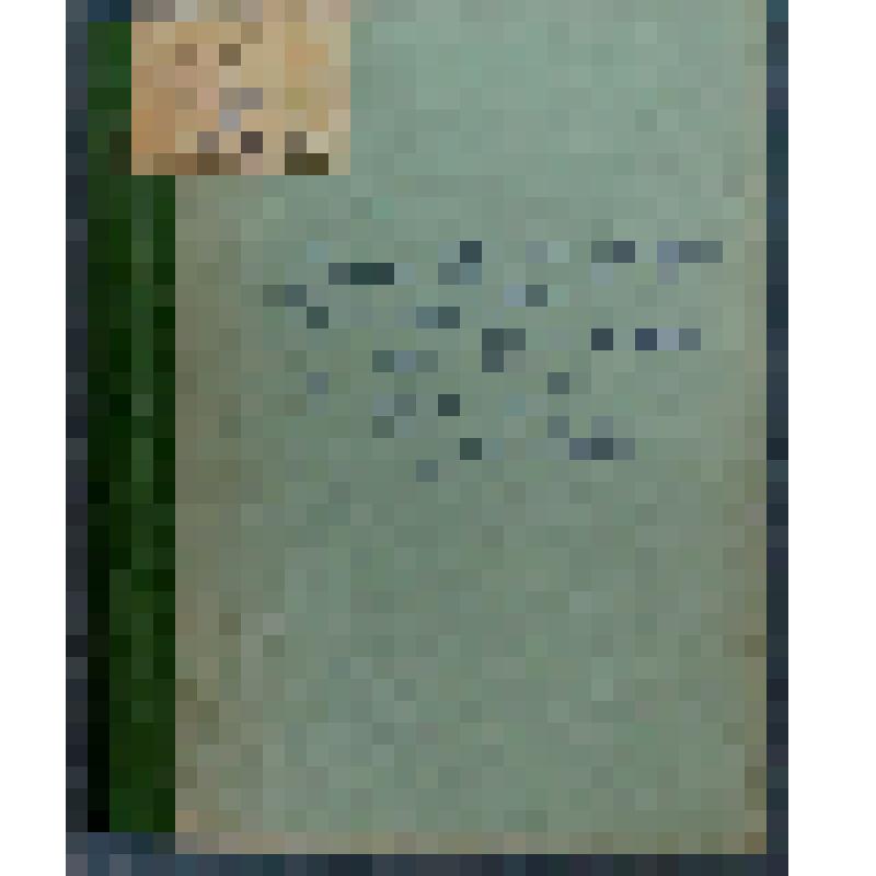 Брошюра. Известия Южно-Уссурийского отделения русского Георгафического общества №11 - 16 с. (с 195 по 210)