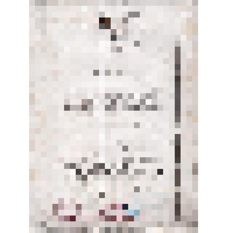 Поздравительное письмо Алтайского Губотдела тов. Панину А.П