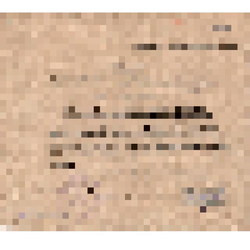 Грамота 2-го Уральского областного съезда общества изобретателей о присвоении Антонову П.Е. звания изобретателя. Копия