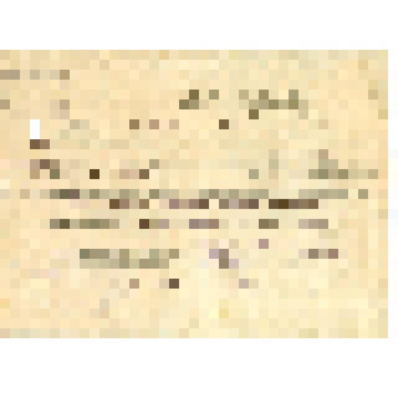 Документ. Справка № 9/5 Государственного лесосплавного треста Всесоюзного значения "Горьклесосплав" Фокину Петру Алексеевичу в том, что он действительно работал начальником планово-финансового отдела треста с 1-го мая по 1-е октября 1941 г. Г. Горький. 19