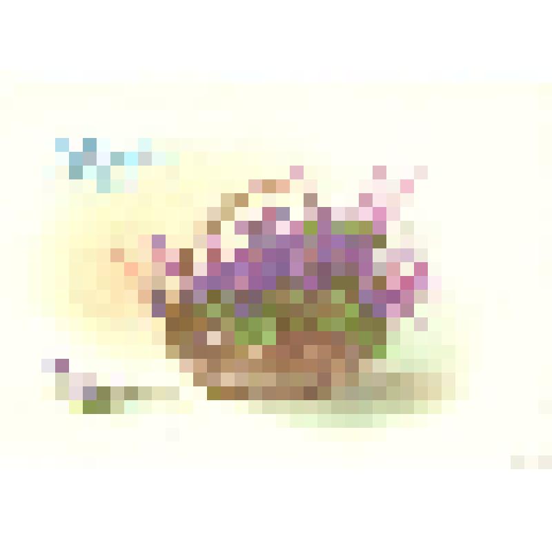 Открытка иллюстрированная поздравительная «Поздравляю!»