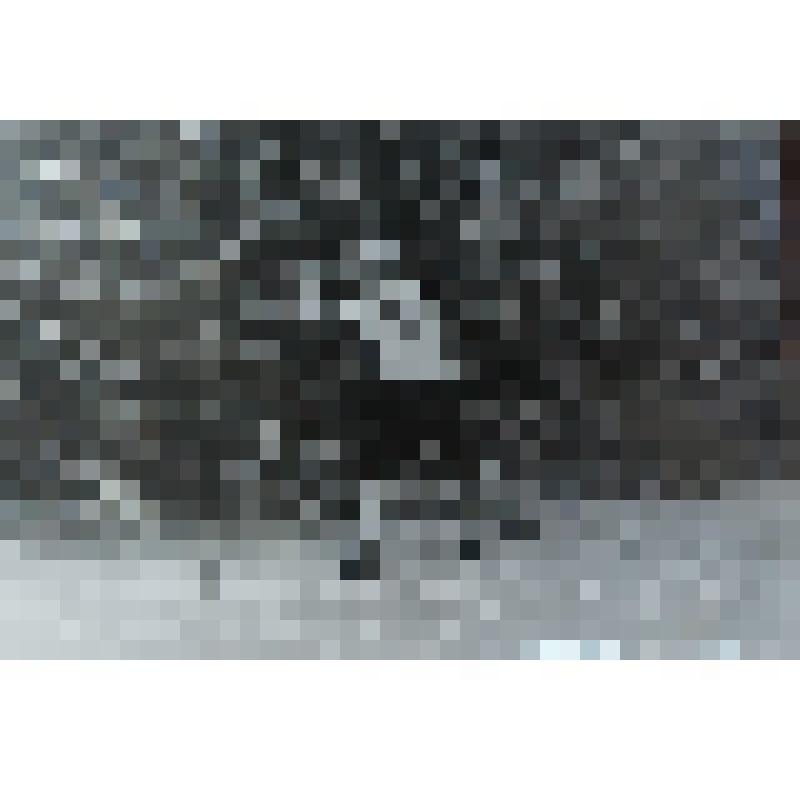 Фото «Соревнования на приз открытия лыжной базы «Динамо», декабрь 1969г. Сыктывкар»