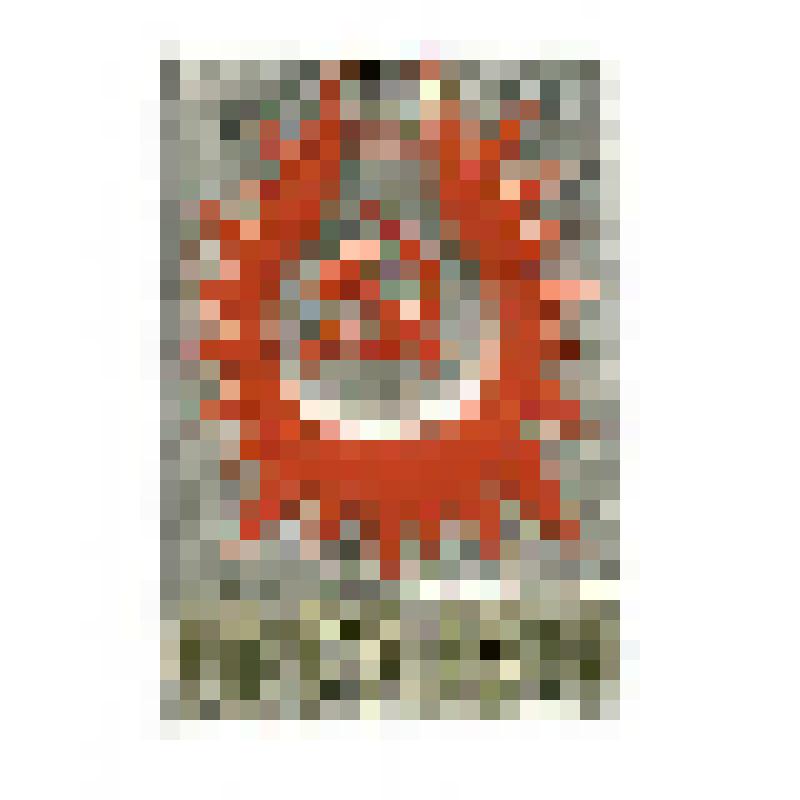 Значок. ГОЭЛРО, на булавке. СССР