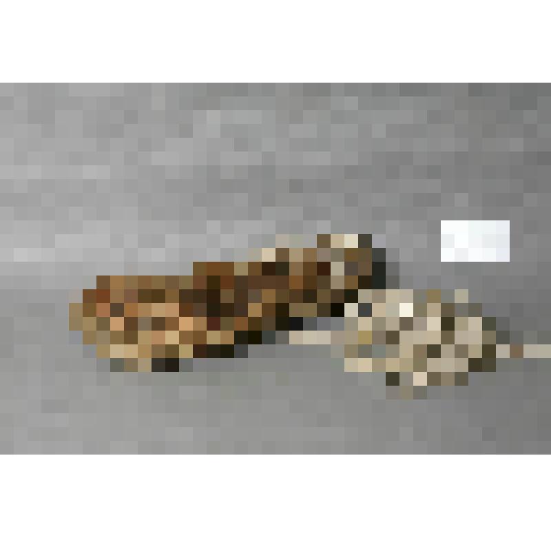 Лапти-семиреньки