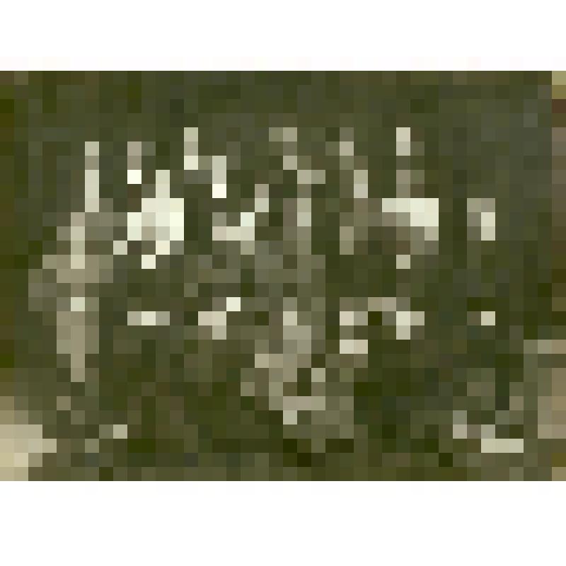 Фотография. Полущев Федор Николаевич, преподаватель медтехникума, с коллегами и студентами 3-го курса, группы «Д» фельдшерского отделения, из коллекции материалов о Полущеве Федоре Николаевиче, враче-гинекологе, преподавателе СМИ, организаторе роддомов в