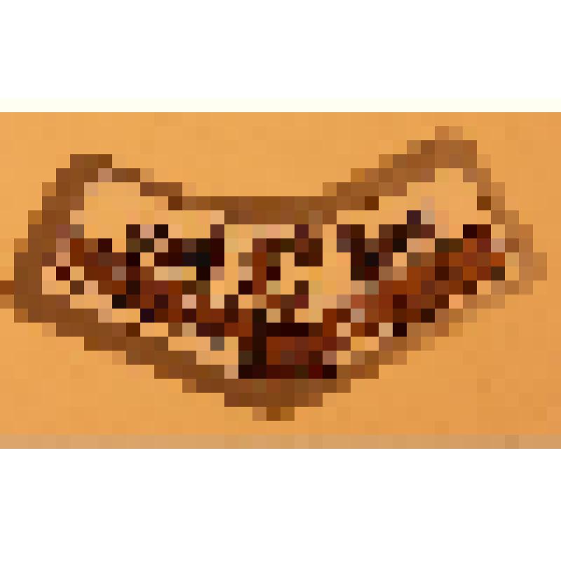 Кольеретка-этикетка горловая к пиву «Ярпиво Новогоднее» производства ОАО «Ярпиво» (г. Ярославль), из коллекции кольереток – этикеток горловых и этикеток бутылочных к пиву